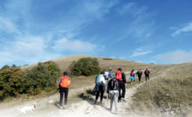 Trekking