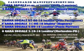 Piston cup MX 2016