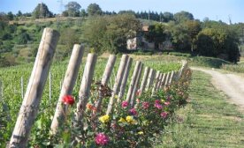 Itinerari: Centro Storico