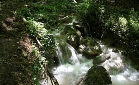 Le sorgenti