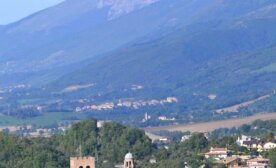 Immagine 11