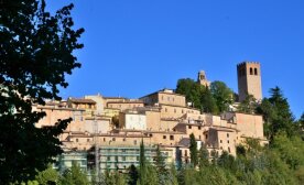 Immagine 26