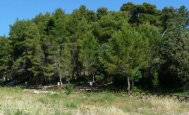 Percorso Natura