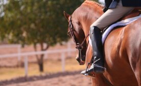 Equitazione