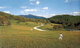 Percorso 6 - Il Monte Alago
