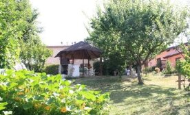 Casa Bonifazi 